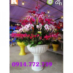 Shop Hoa Tươi Ngọc Linh