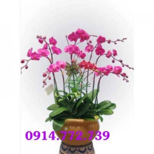 Shop Hoa Tươi Nga