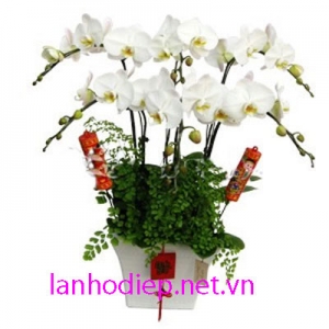Shop hoa- Công ty Hoa Tươi Đẹp