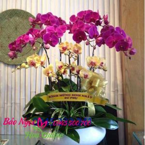 Chau-lan-ho-diep-trang-tri-van-phong-15-canh- HDS-011