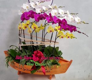 Chau-go-chiec-thuyen-lan-ho-diep-12 -canh-da-sac-HDS-101
