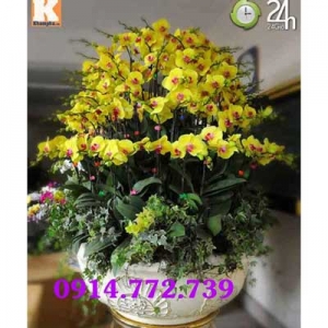 Cửa Hàng Hoa Tươi & Bình Thủy Tinh Cao Cấp Mỹ Hạnh