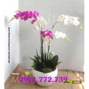 Cửa Hàng Hoa Vải - Hoa Tươi Thanh Tâm